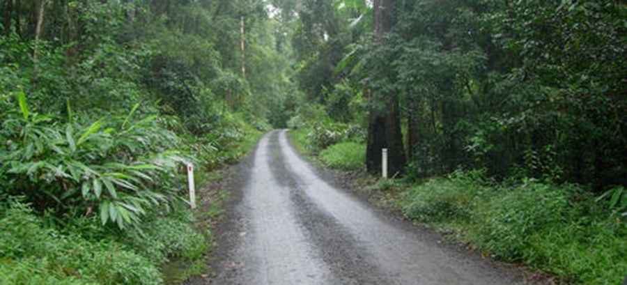 Murray Scrub Road