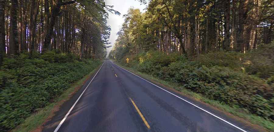 Olympic Peninsula Loop Drive