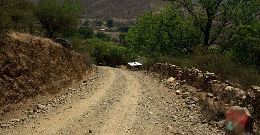 Paso de Mecoya-Mecoyita