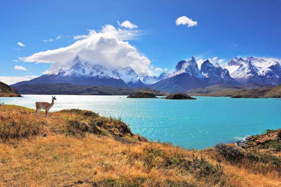 Backpacking Through Patagonia: 8 Tips for Solo Adventurers