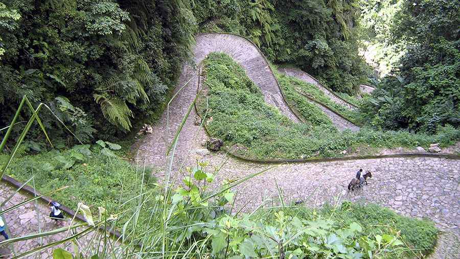 Camino del Caracol