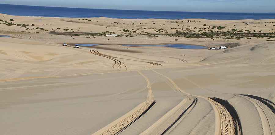 Stockton Beach 4wd Track