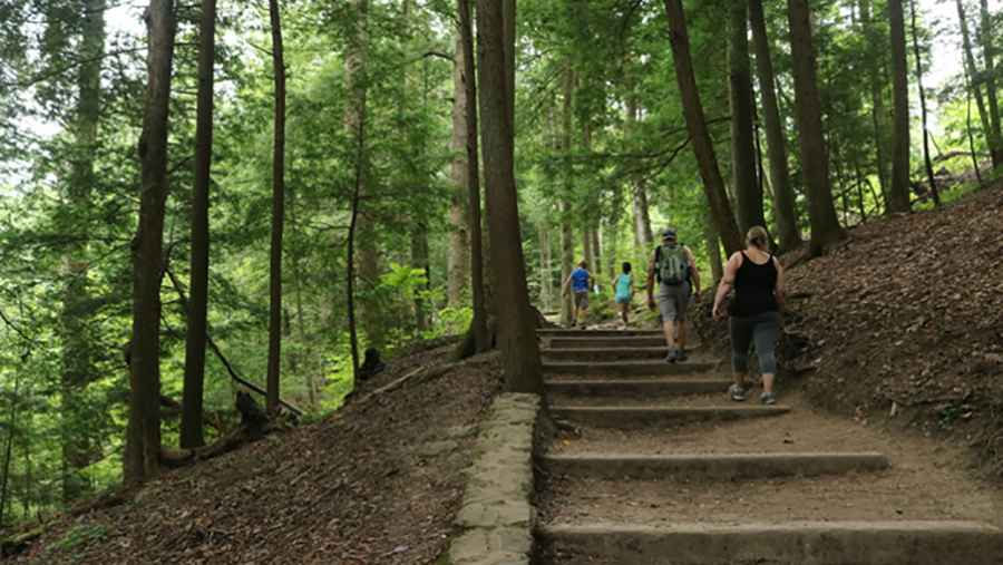 Top 5 Best Trails in Ohio