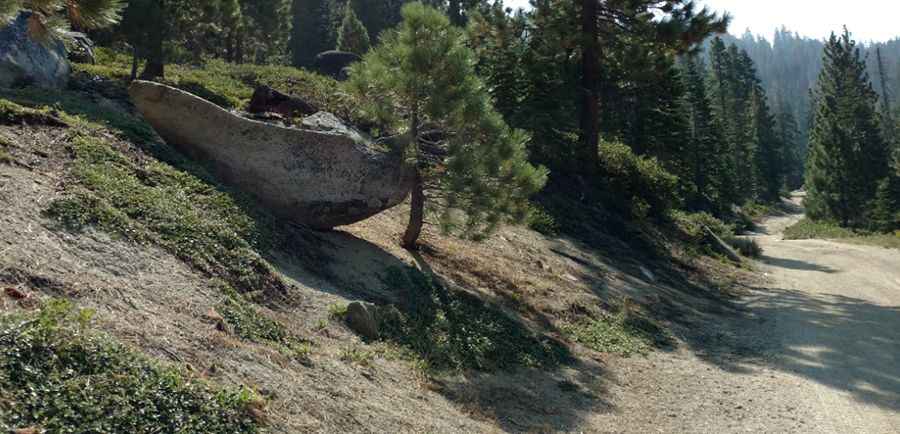 Ladybug Peak