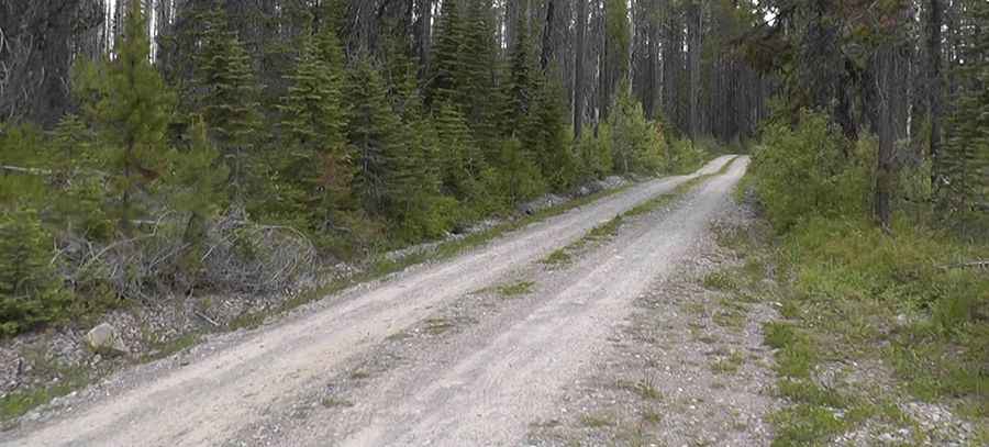 Inside North Fork Road