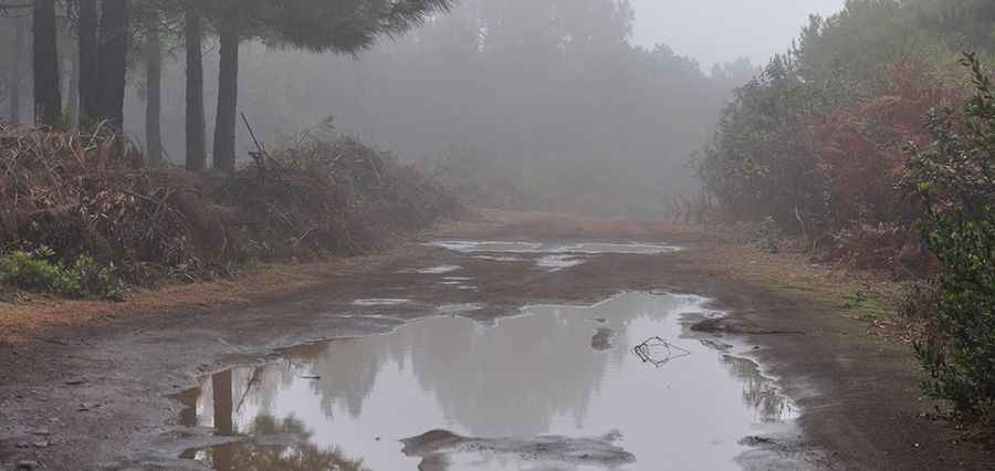 Pista Hilera de la Cumbre