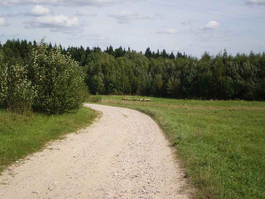 Aukštojas Hill