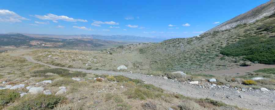 Laurel Lake trail