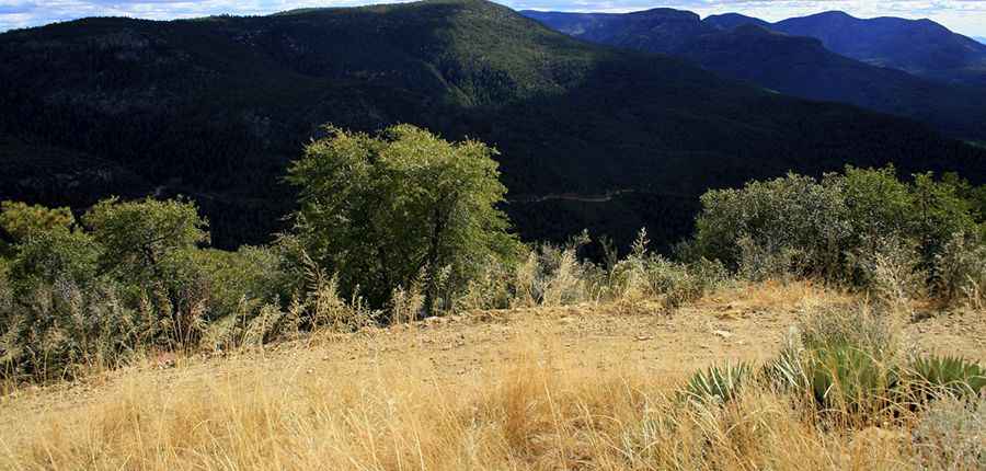 McFadden Peak