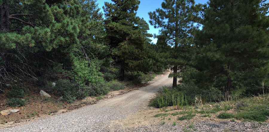 Pinal Peak