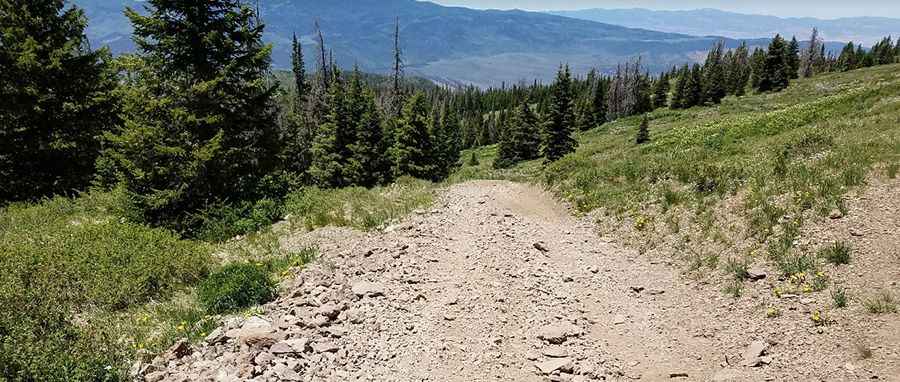 Fish Lake Hightop