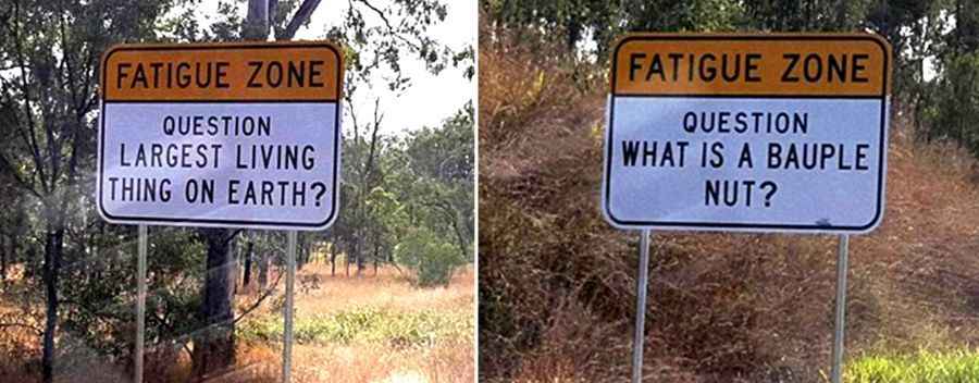 Longest Roads in Australia