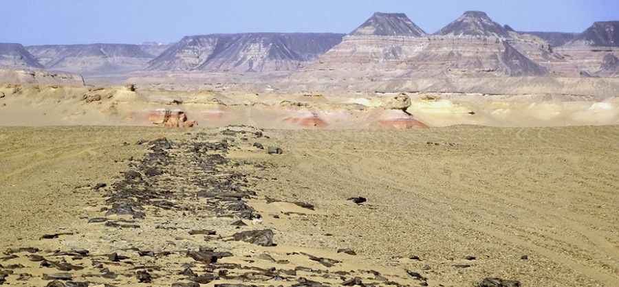 Giza Road