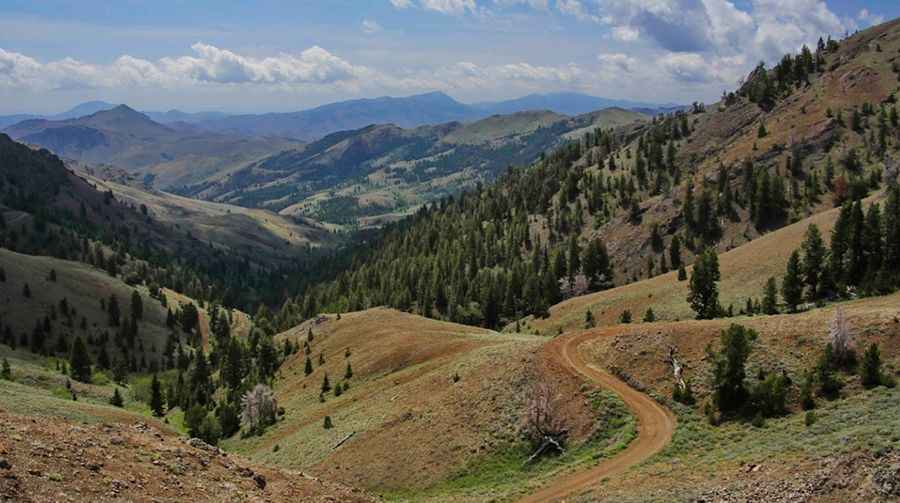 Bear Creek Summit