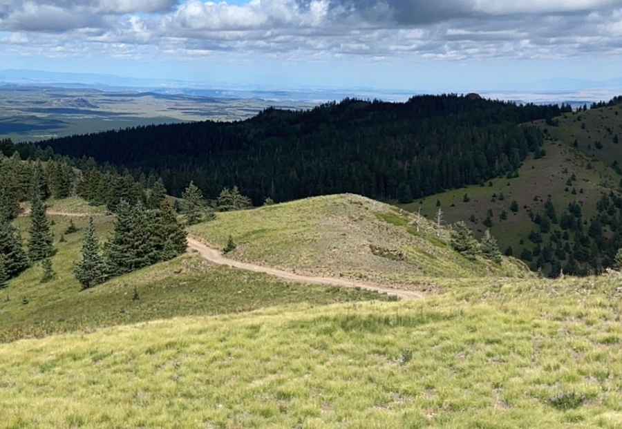 Cerro Pelon