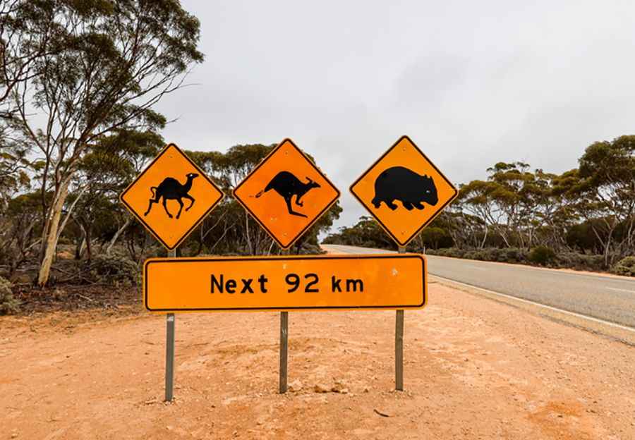 Driving Down Under: Top 8 Most Dangerous Roads In Australia