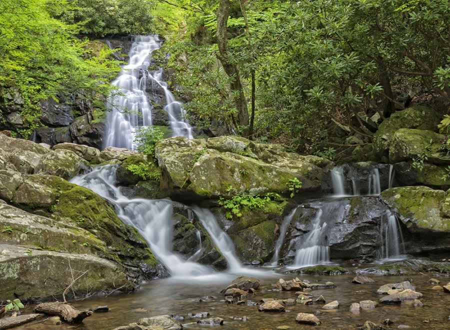 Going Hiking in the Smoky Mountains? Here are Some Things to Remember