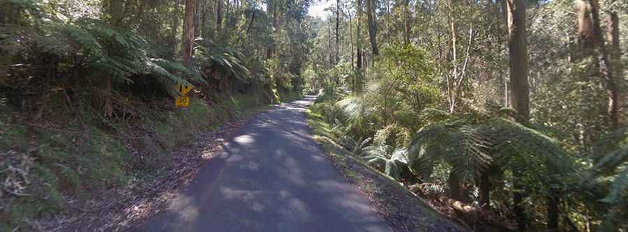 Mount Baw Baw Tourist Road