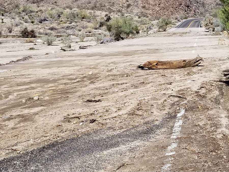 Pinto Basin Road