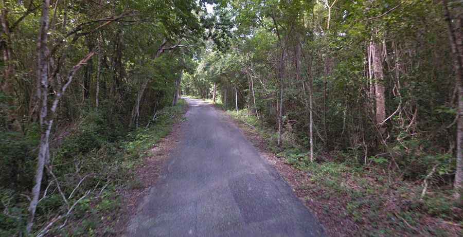 Carretera a Calakmul