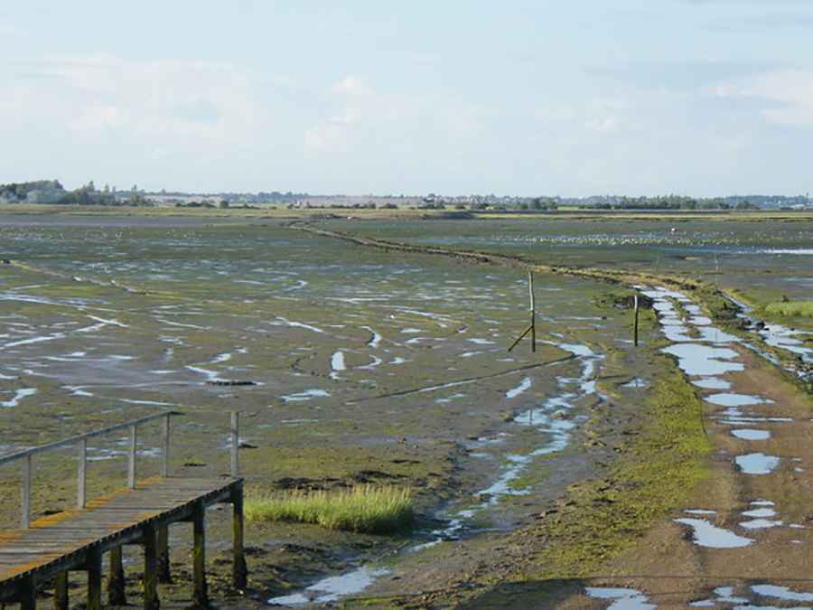 Horsey Island Causeway