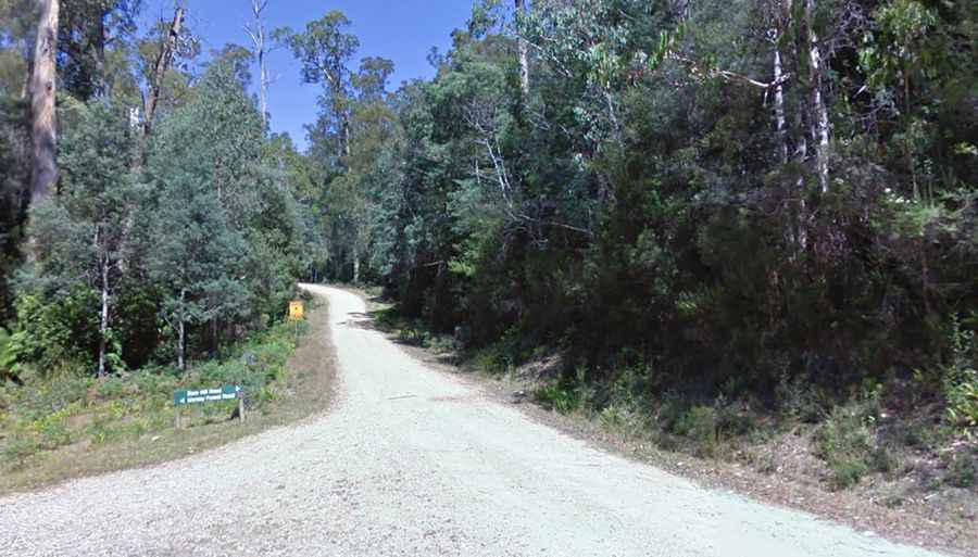 Borradaile Plains Track