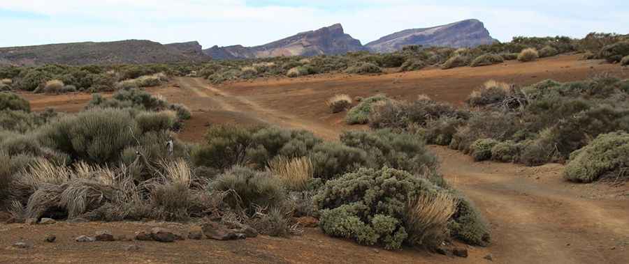 Llano de los Infantes