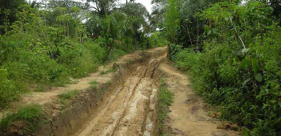 Mamfe-Ekok Road