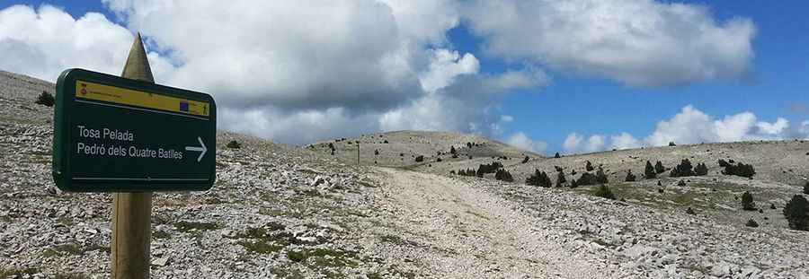 Pedró dels Quatre Batlles