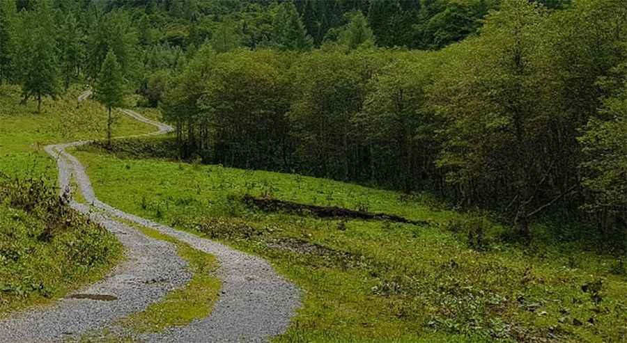 Lago Volaia