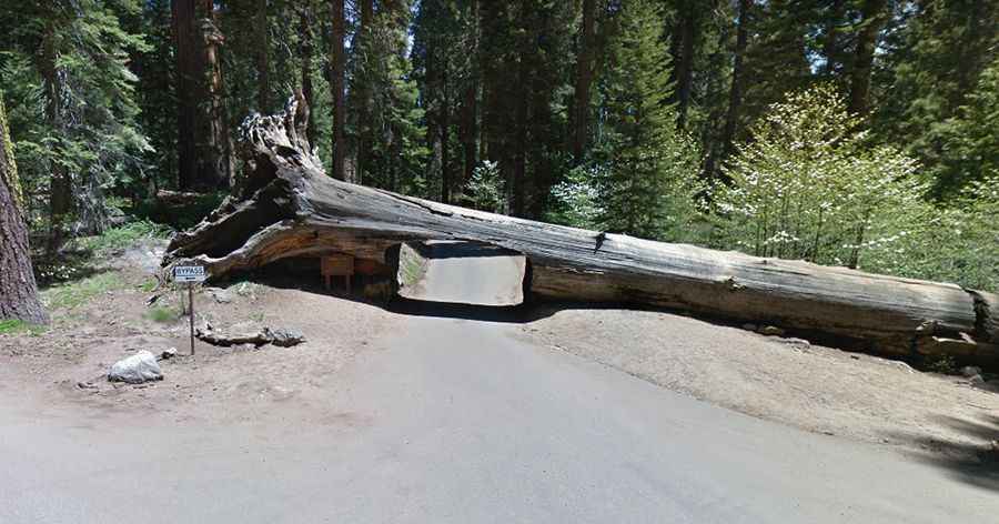 Moro Rock/Crescent Meadow Road