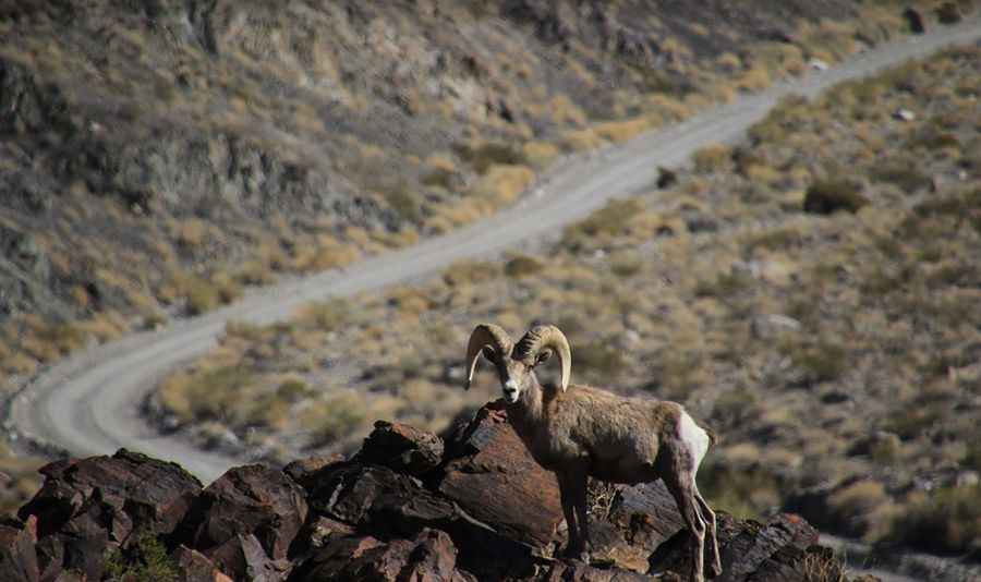 Warm Springs Canyon Road