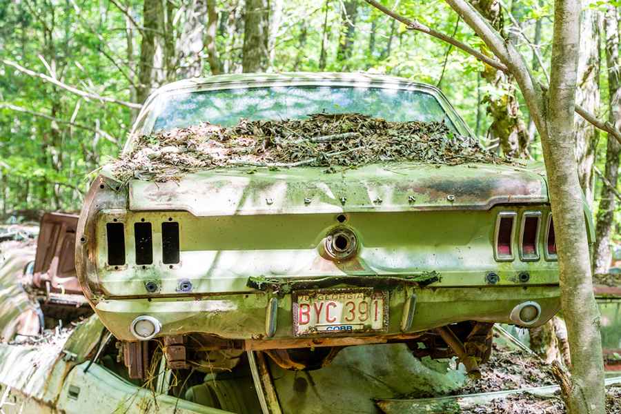 A Look at the Different Types of Salvage Cars