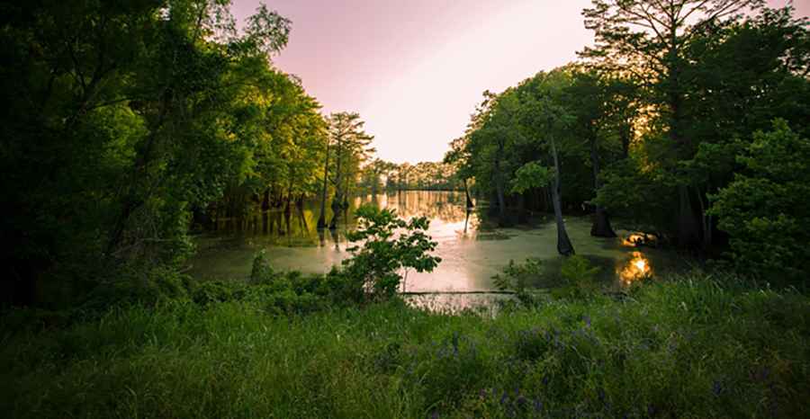 Exploring the Byways: A Journey Through Mississippi's Rugged Terrains