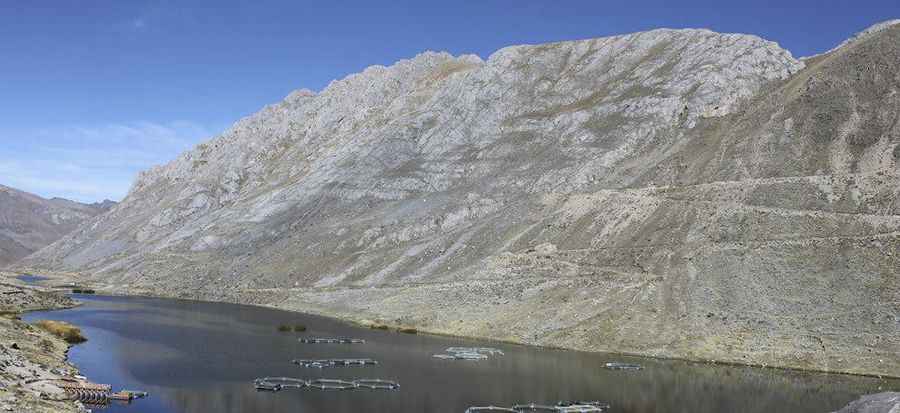 Laguna Pumacocha