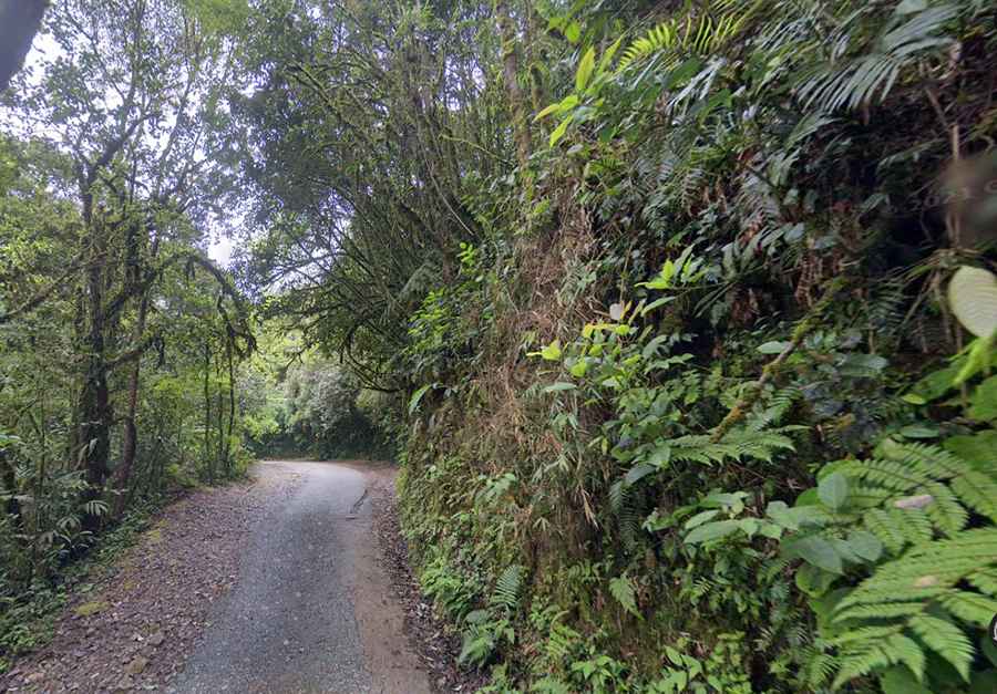 Mount Batu Brinchang