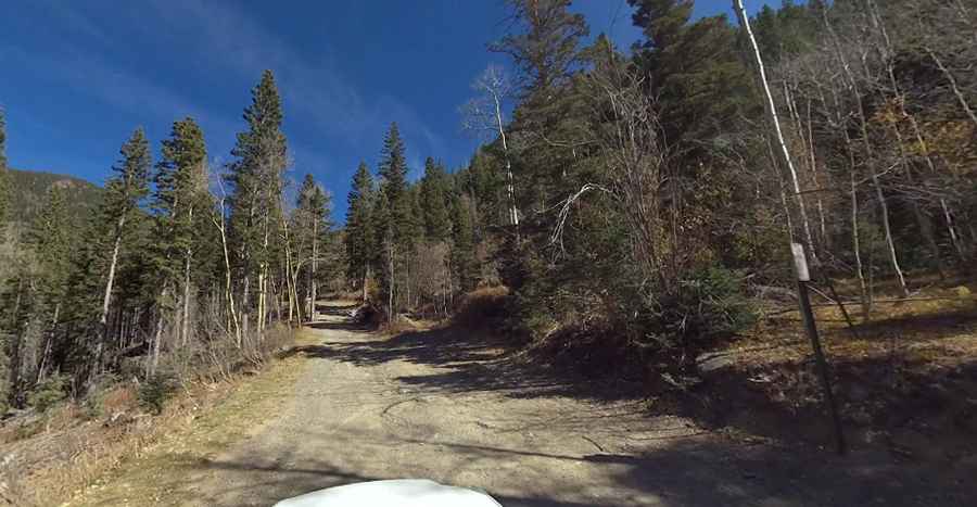 Bull of the Woods Mountain in NM