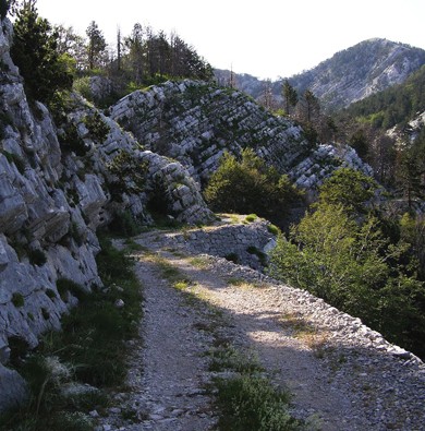 Orjenska Lovka – Crkvice road