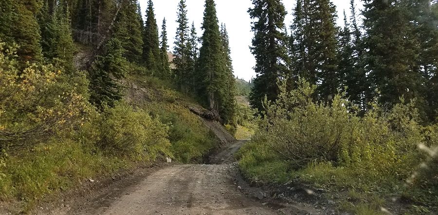 Schofield Pass is a narrow and scenic road only for very experienced ...